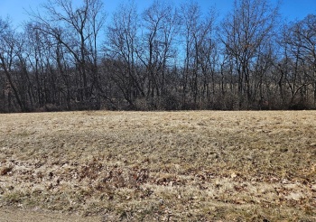 3-499 SHADY, LAKE CARROLL, Illinois 61046, ,Land,For Sale,SHADY,202601517