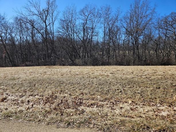 3-499 SHADY, LAKE CARROLL, Illinois 61046, ,Land,For Sale,SHADY,202601517