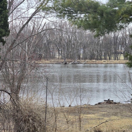 7424 River, BYRON, Illinois 61010, 2 Bedrooms Bedrooms, ,1 BathroomBathrooms,House,For Sale,River,202601408