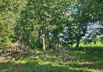 000 Anterior, OREGON, Illinois 61061, ,Land,For Sale,Anterior,202504923