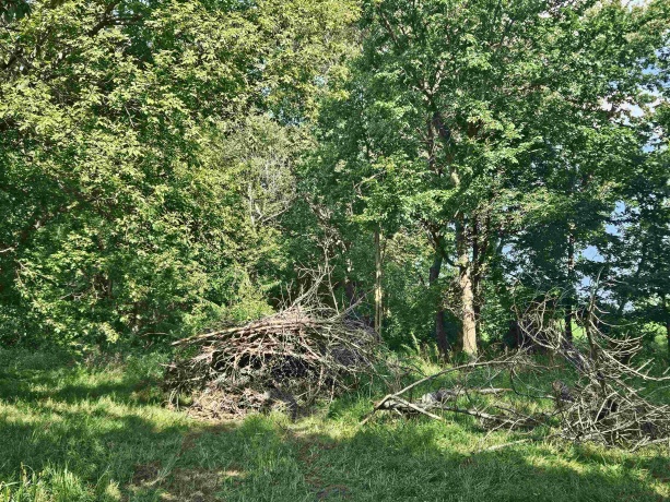 000 Anterior, OREGON, Illinois 61061, ,Land,For Sale,Anterior,202504923