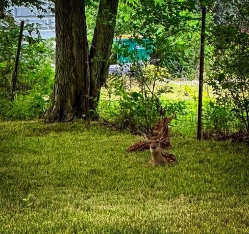 710 Short, Streator, Illinois 61364, 3 Bedrooms Bedrooms, ,1 BathroomBathrooms,House,For Sale,Short,202601538