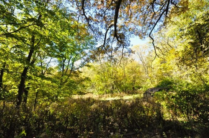 710 Short, Streator, Illinois 61364, 3 Bedrooms Bedrooms, ,1 BathroomBathrooms,House,For Sale,Short,202601538