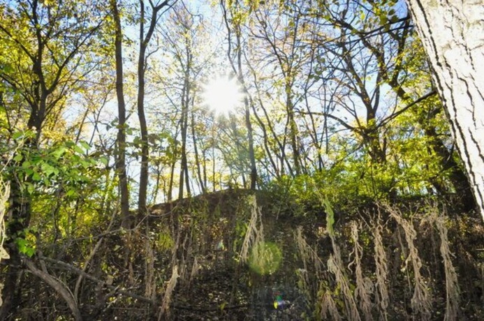 710 Short, Streator, Illinois 61364, 3 Bedrooms Bedrooms, ,1 BathroomBathrooms,House,For Sale,Short,202601538