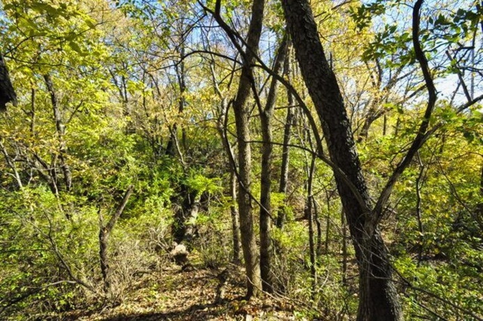 710 Short, Streator, Illinois 61364, 3 Bedrooms Bedrooms, ,1 BathroomBathrooms,House,For Sale,Short,202601538