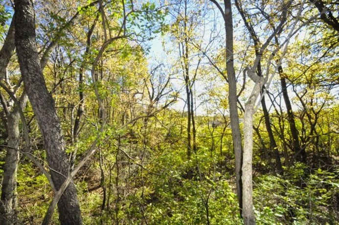 710 Short, Streator, Illinois 61364, 3 Bedrooms Bedrooms, ,1 BathroomBathrooms,House,For Sale,Short,202601538