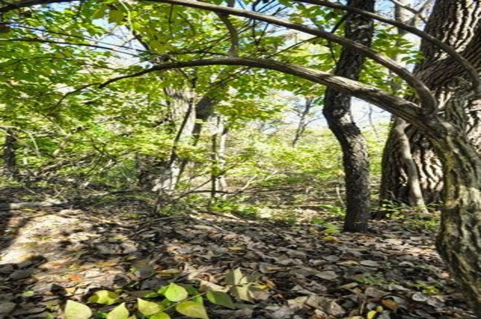 710 Short, Streator, Illinois 61364, 3 Bedrooms Bedrooms, ,1 BathroomBathrooms,House,For Sale,Short,202601538