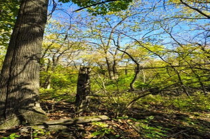 710 Short, Streator, Illinois 61364, 3 Bedrooms Bedrooms, ,1 BathroomBathrooms,House,For Sale,Short,202601538