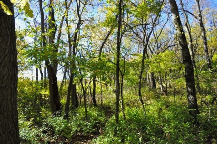 710 Short, Streator, Illinois 61364, 3 Bedrooms Bedrooms, ,1 BathroomBathrooms,House,For Sale,Short,202601538