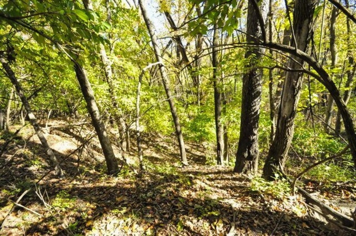 710 Short, Streator, Illinois 61364, 3 Bedrooms Bedrooms, ,1 BathroomBathrooms,House,For Sale,Short,202601538