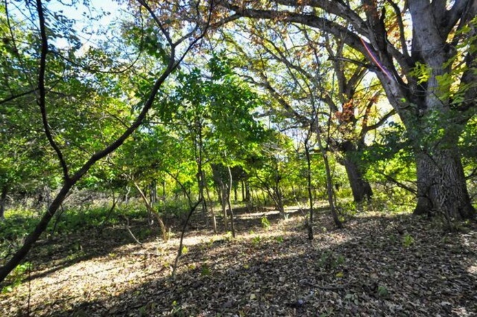 710 Short, Streator, Illinois 61364, 3 Bedrooms Bedrooms, ,1 BathroomBathrooms,House,For Sale,Short,202601538