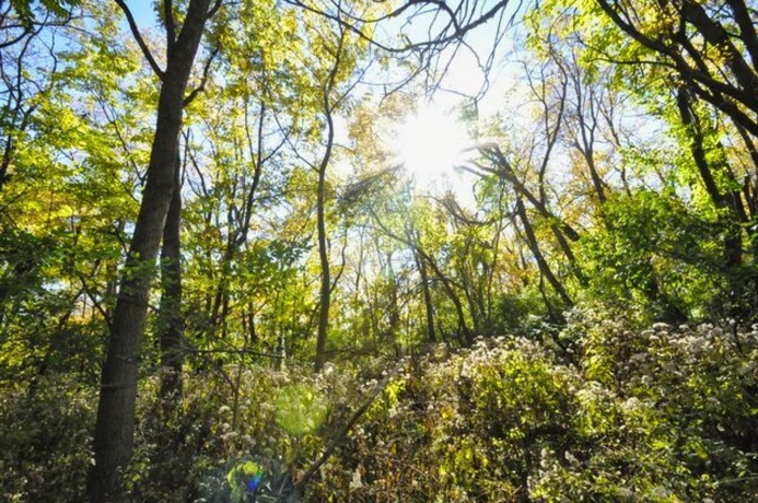 710 Short, Streator, Illinois 61364, 3 Bedrooms Bedrooms, ,1 BathroomBathrooms,House,For Sale,Short,202601538