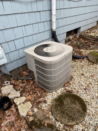 423 Auburn, ROCKFORD, Illinois 61103, 5 Bedrooms Bedrooms, ,3 BathroomsBathrooms,House,For Sale,Auburn,202601542