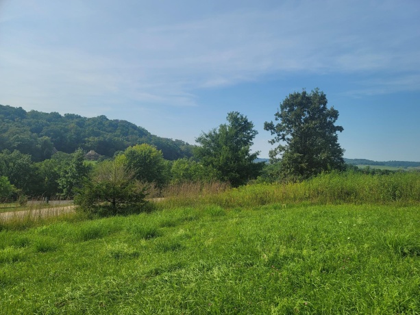 175 Cogan, GALENA, Illinois 61036, ,Land,For Sale,Cogan,202404719