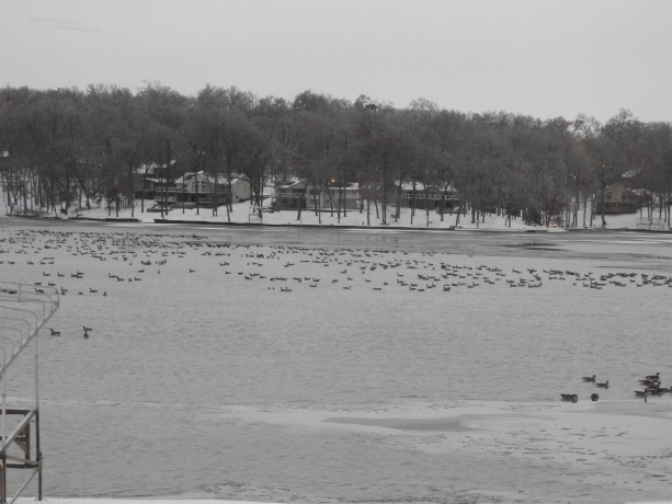 1306 Chadbourne, LAKE SUMMERSET, Illinois 61019, ,Land,For Sale,Chadbourne,202601584