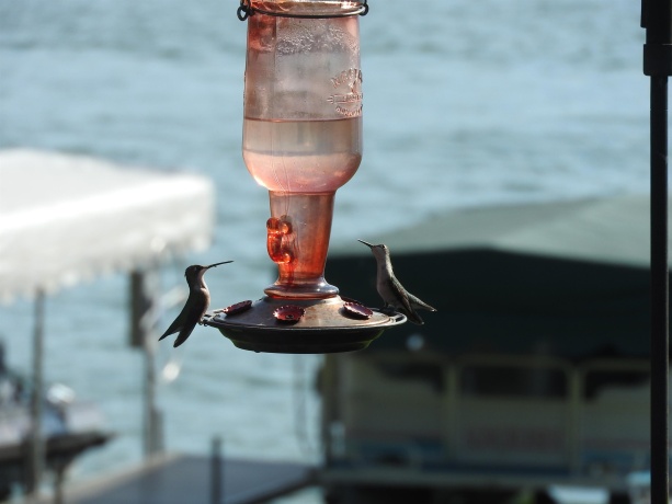 1306 Chadbourne, LAKE SUMMERSET, Illinois 61019, ,Land,For Sale,Chadbourne,202601584