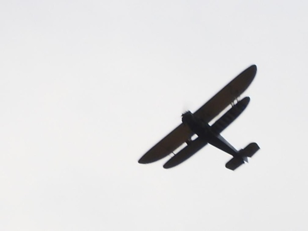 1306 Chadbourne, LAKE SUMMERSET, Illinois 61019, ,Land,For Sale,Chadbourne,202601584