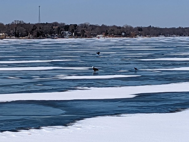 1306 Chadbourne, LAKE SUMMERSET, Illinois 61019, ,Land,For Sale,Chadbourne,202601584