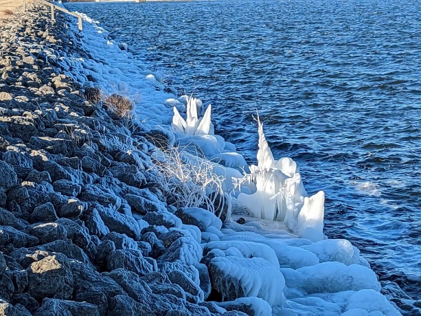 1306 Chadbourne, LAKE SUMMERSET, Illinois 61019, ,Land,For Sale,Chadbourne,202601584