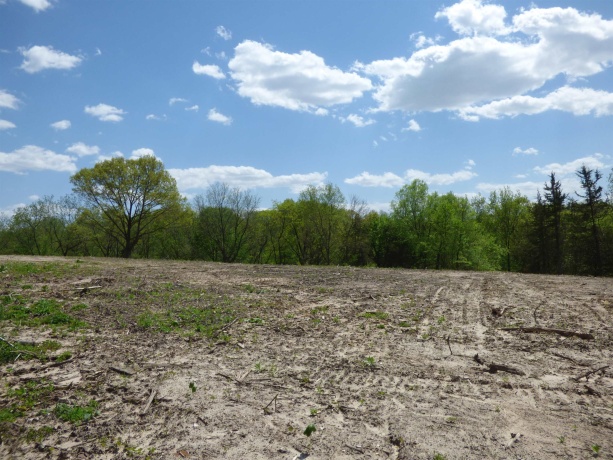 6163 Blanding, HANOVER, Illinois 61041, 4 Bedrooms Bedrooms, ,2 BathroomsBathrooms,Farm,For Sale,Blanding,202601603