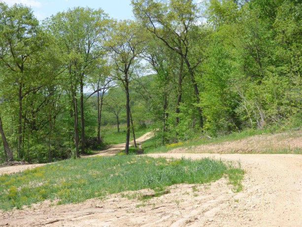 6163 Blanding, HANOVER, Illinois 61041, 4 Bedrooms Bedrooms, ,2 BathroomsBathrooms,Farm,For Sale,Blanding,202601603