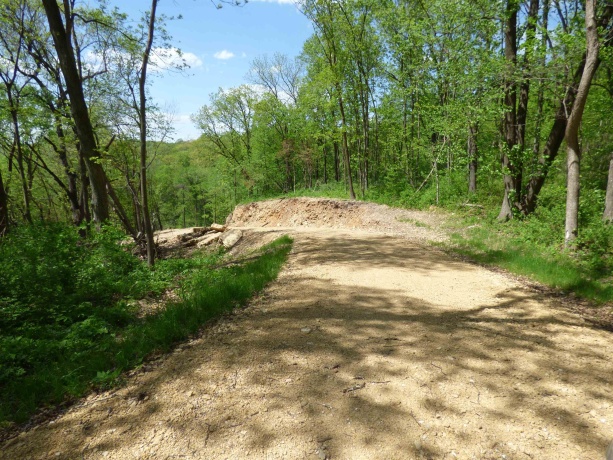 6163 Blanding, HANOVER, Illinois 61041, 4 Bedrooms Bedrooms, ,2 BathroomsBathrooms,Farm,For Sale,Blanding,202601603