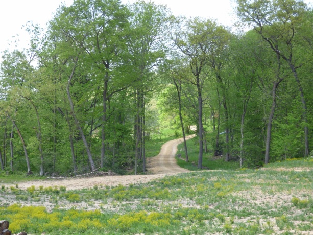 6163 Blanding, HANOVER, Illinois 61041, 4 Bedrooms Bedrooms, ,2 BathroomsBathrooms,House,For Sale,Blanding,202601604