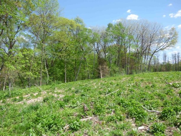 6163 Blanding, HANOVER, Illinois 61041, 4 Bedrooms Bedrooms, ,2 BathroomsBathrooms,House,For Sale,Blanding,202601604