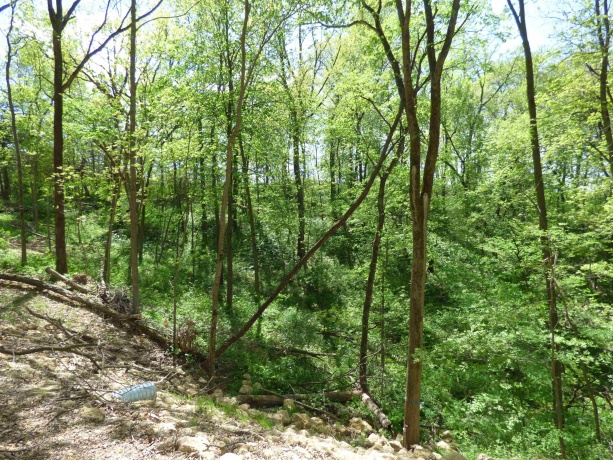 6163 Blanding, HANOVER, Illinois 61041, 4 Bedrooms Bedrooms, ,2 BathroomsBathrooms,House,For Sale,Blanding,202601604