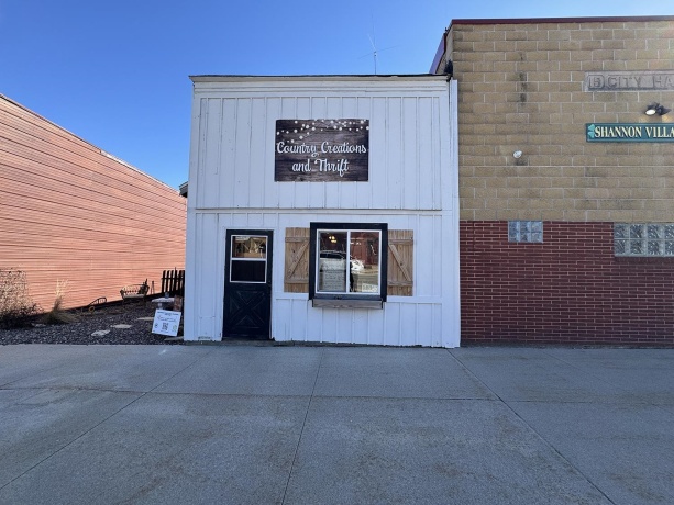 21 Market, SHANNON, Illinois 61078, ,Commercial,For Sale,Market,202601609