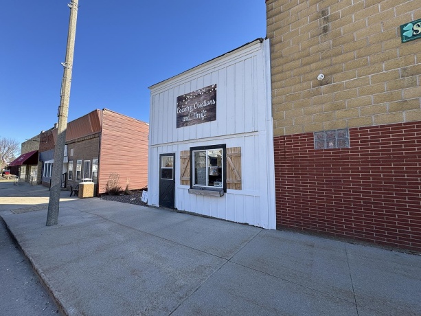 21 Market, SHANNON, Illinois 61078, ,Commercial,For Sale,Market,202601609