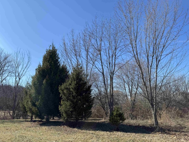 4989 Ford, SCALES MOUND, Illinois 61075, 5 Bedrooms Bedrooms, ,2 BathroomsBathrooms,House,For Sale,Ford,202601198