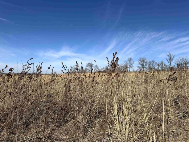 4989 Ford, SCALES MOUND, Illinois 61075, 5 Bedrooms Bedrooms, ,2 BathroomsBathrooms,House,For Sale,Ford,202601198