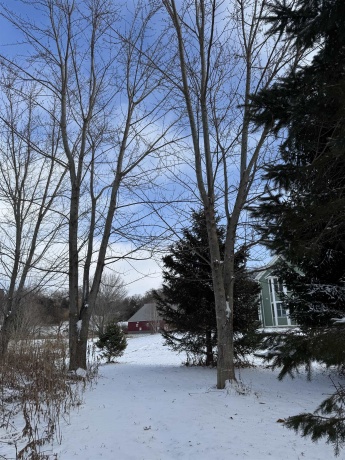 4989 Ford, SCALES MOUND, Illinois 61075, 5 Bedrooms Bedrooms, ,2 BathroomsBathrooms,House,For Sale,Ford,202601198