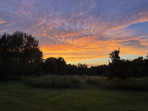 4989 Ford, SCALES MOUND, Illinois 61075, 5 Bedrooms Bedrooms, ,2 BathroomsBathrooms,House,For Sale,Ford,202601198