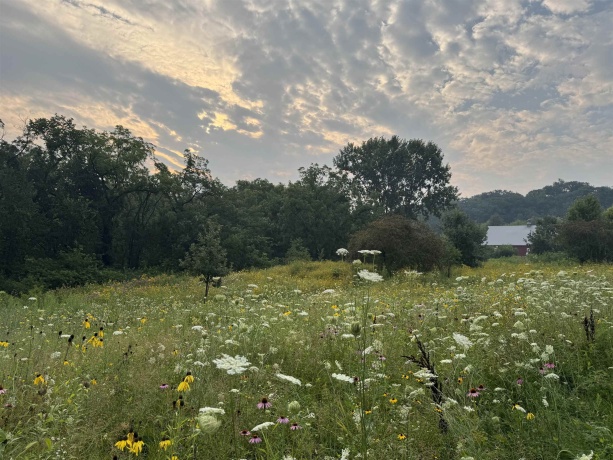 4989 Ford, SCALES MOUND, Illinois 61075, 5 Bedrooms Bedrooms, ,2 BathroomsBathrooms,House,For Sale,Ford,202601198