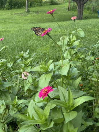 4989 Ford, SCALES MOUND, Illinois 61075, 5 Bedrooms Bedrooms, ,2 BathroomsBathrooms,House,For Sale,Ford,202601198