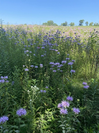 4989 Ford, SCALES MOUND, Illinois 61075, 5 Bedrooms Bedrooms, ,2 BathroomsBathrooms,House,For Sale,Ford,202601198