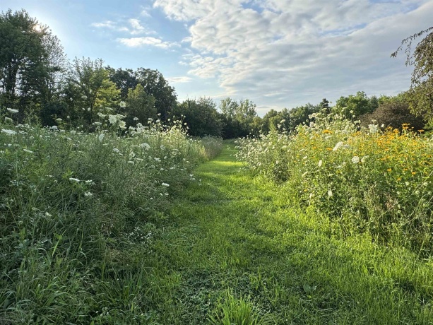 4989 Ford, SCALES MOUND, Illinois 61075, 5 Bedrooms Bedrooms, ,2 BathroomsBathrooms,House,For Sale,Ford,202601198