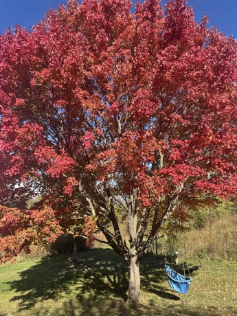 4989 Ford, SCALES MOUND, Illinois 61075, 5 Bedrooms Bedrooms, ,2 BathroomsBathrooms,House,For Sale,Ford,202601198