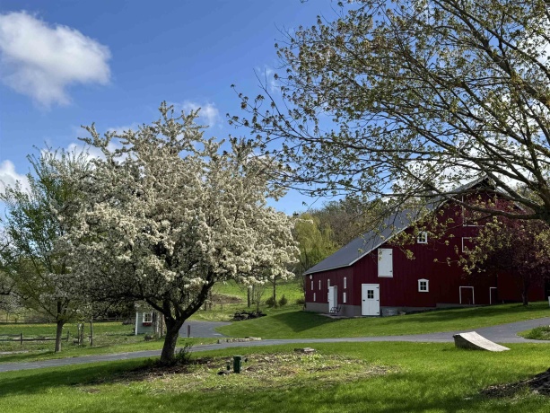 4989 Ford, SCALES MOUND, Illinois 61075, 5 Bedrooms Bedrooms, ,2 BathroomsBathrooms,House,For Sale,Ford,202601198