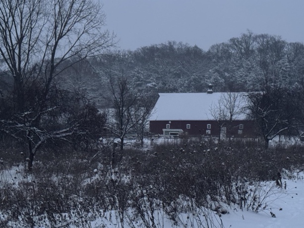 4989 Ford, SCALES MOUND, Illinois 61075, 5 Bedrooms Bedrooms, ,2 BathroomsBathrooms,House,For Sale,Ford,202601198