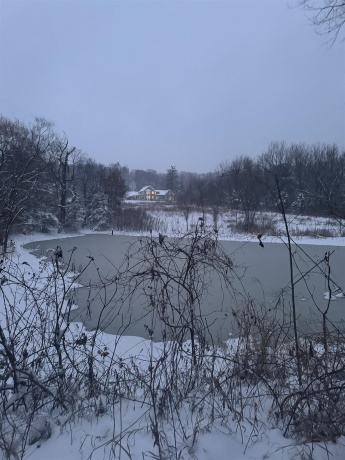 4989 Ford, SCALES MOUND, Illinois 61075, 5 Bedrooms Bedrooms, ,2 BathroomsBathrooms,House,For Sale,Ford,202601198