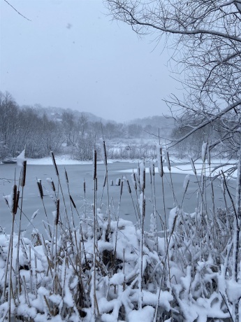 4989 Ford, SCALES MOUND, Illinois 61075, 5 Bedrooms Bedrooms, ,2 BathroomsBathrooms,House,For Sale,Ford,202601198