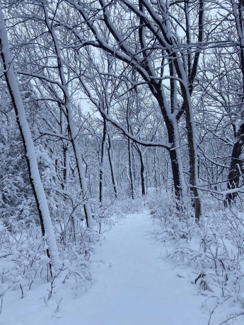 4989 Ford, SCALES MOUND, Illinois 61075, 5 Bedrooms Bedrooms, ,2 BathroomsBathrooms,House,For Sale,Ford,202601198