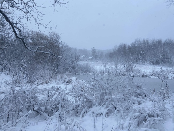 4989 Ford, SCALES MOUND, Illinois 61075, 5 Bedrooms Bedrooms, ,2 BathroomsBathrooms,House,For Sale,Ford,202601198