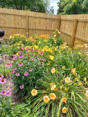 615 Park, WARREN, Illinois 61087, 3 Bedrooms Bedrooms, ,1 BathroomBathrooms,House,For Sale,Park,202601628