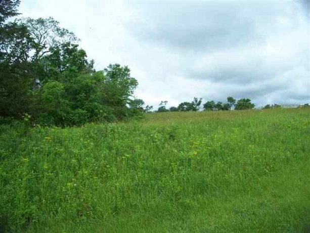 3 Honeycomb, GALENA, Illinois 61036, ,Land,For Sale,Honeycomb,202601643