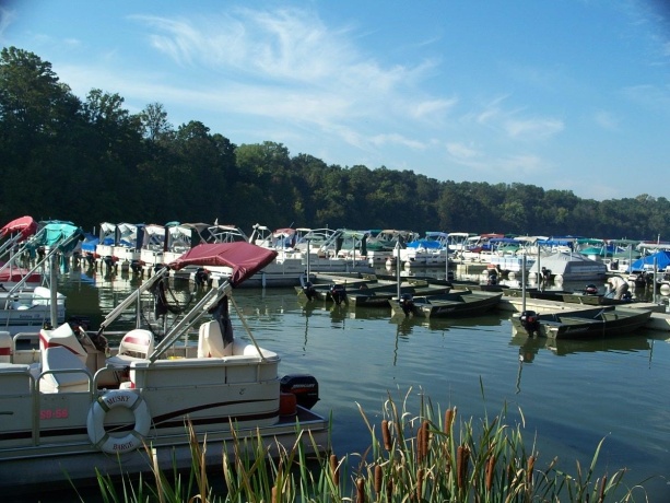 3 Honeycomb, GALENA, Illinois 61036, ,Land,For Sale,Honeycomb,202601643