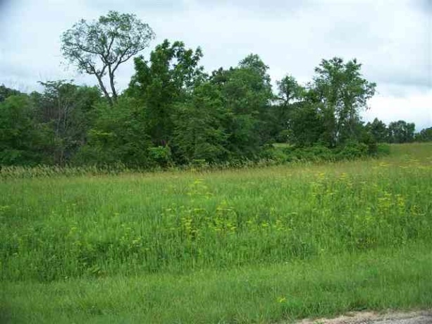 3 Honeycomb, GALENA, Illinois 61036, ,Land,For Sale,Honeycomb,202601643